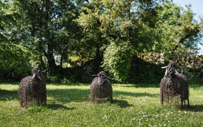 Reportage photo pour Le Mas Ruas à Sainte-Radegonde en Aveyron, Juin 2024 © Franck Tourneret, photographe pour les pros en Aveyron.